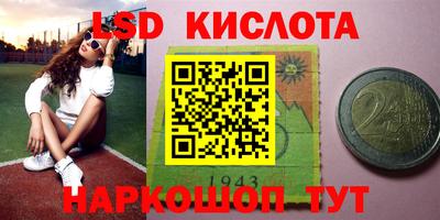 крисы Анапа