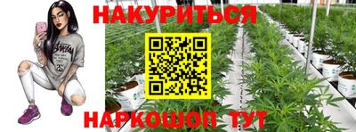 МДПВ Ярославль