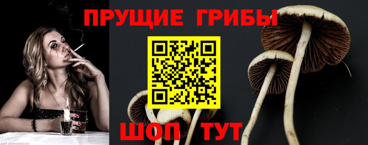 Борзя  Галлюциногенные грибы MAGIC MUSHROOMS  Вход с VPN 